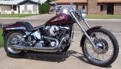 1998 Harley-Davidson Softail Custom photo